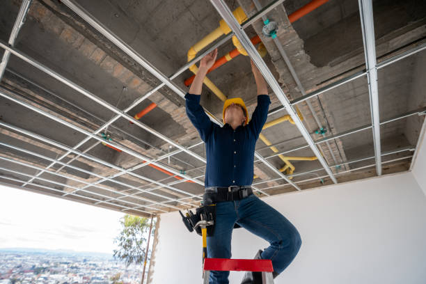 Best Emergency Plumber  in Willacoochee, GA