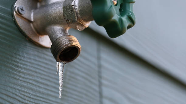 Best Shower Repair Services  in Willacoochee, GA